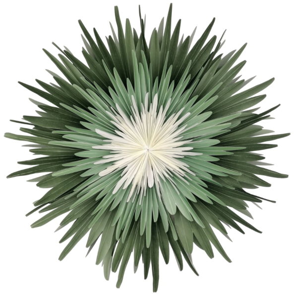 Stella Dalia Pergamentpapier Stern grün mint weiß 40cm