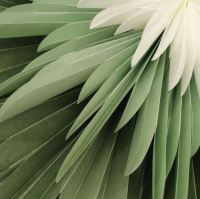 Stella Dalia Pergamentpapier Stern grün mint...