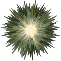 Stella Dalia Pergamentpapier Stern grün mint weiß 40cm